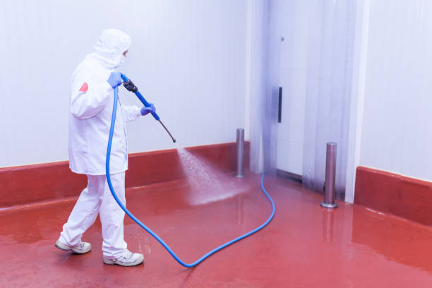 Best Spring Cleaning  in Lincoln Park, NJ